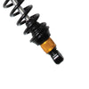 LYNX PPS2-DS+ X2 Series Rear EXIT Shock Aggressive
