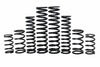 Can-Am Maverick R X RS 2ST Stage 1 Spring Kit (2024+)