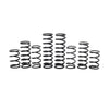 Polaris RZR Pro R 4 Walker Evans Stage 1 Spring Kit (2022-2026)