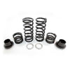 Polaris RZR XP 1000/Turbo Tender Spring Kit Walker Evans Needle Shock (2014-2024)