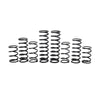 Polaris RZR Pro R 4 Walker Evans Stage 1 Spring Kit (2022-2025)