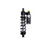 Arctic Cat Ascender/Yamaha Mountain Max X1 Center Shock Aggressive - Alpha