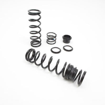 ARCTIC CAT CATALYST/ACENDER Ski Shock Spring Kit (2019-2026)